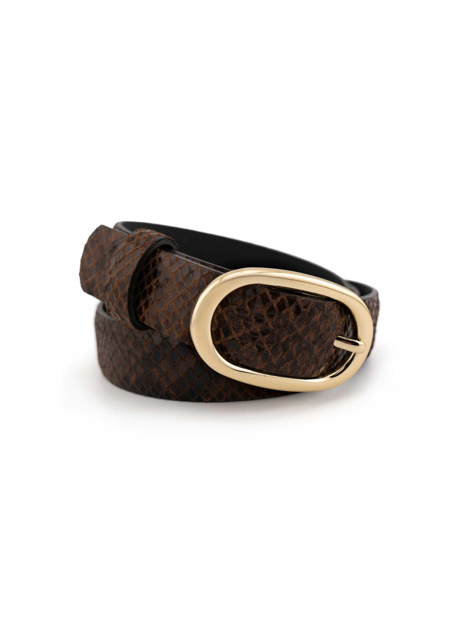 Landes - Snake With Gold Buckle