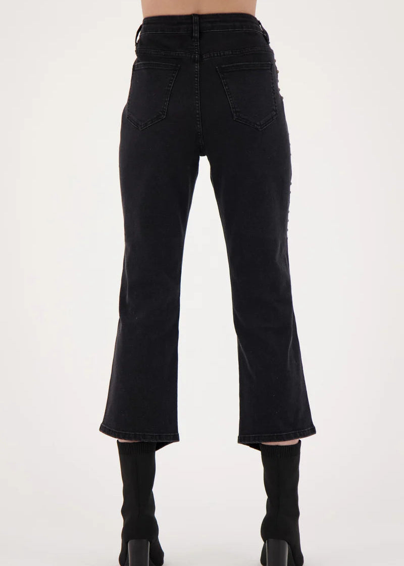 Gabby Isabella - Studded Denim Pant - SALE