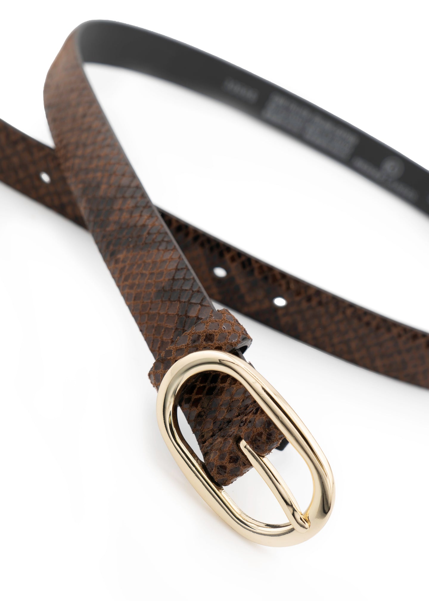 Landes - Snake With Gold Buckle