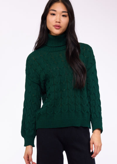 Pistache - Braided Cable knit Turtleneck Sweater