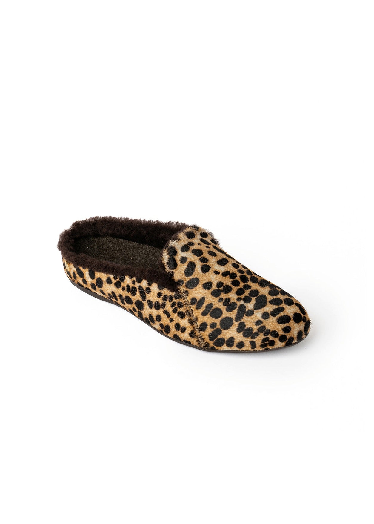Leopard - Pony