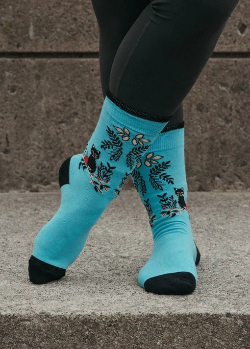 Pokoloko - Coffee Cats Pima Socks