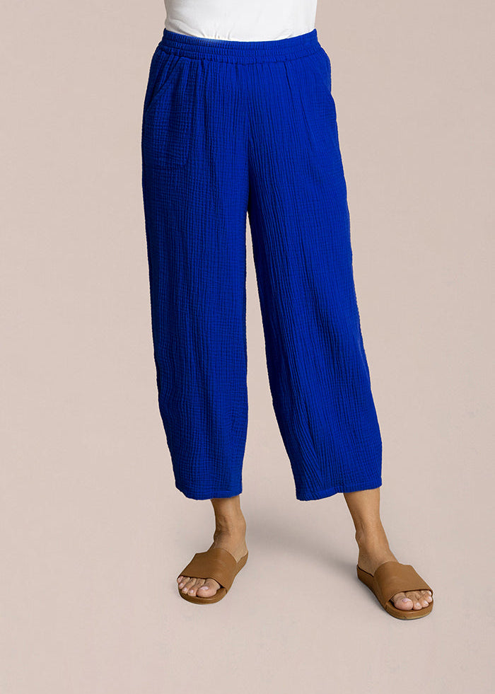 LAPIS